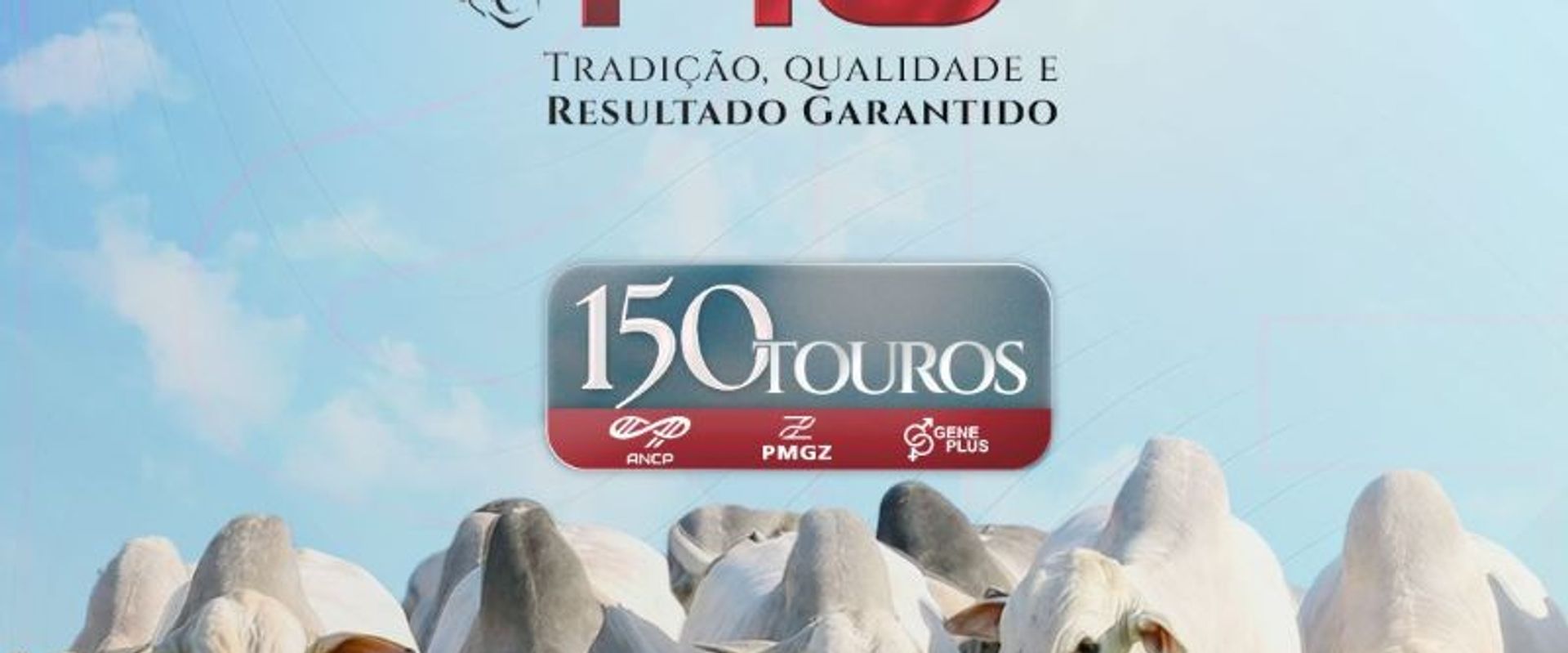 Leilão Virtual Dia do RG - Etapa Touros