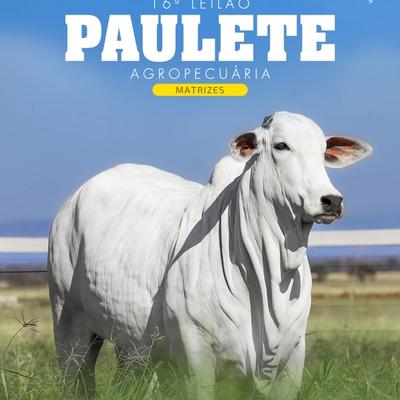 16º Leilão Paulete Agropecuária - Matrizes - Foto 1
