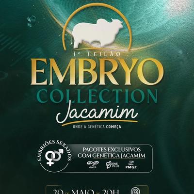 1º Leilão Embryo Collection Jacamim  - Foto 1