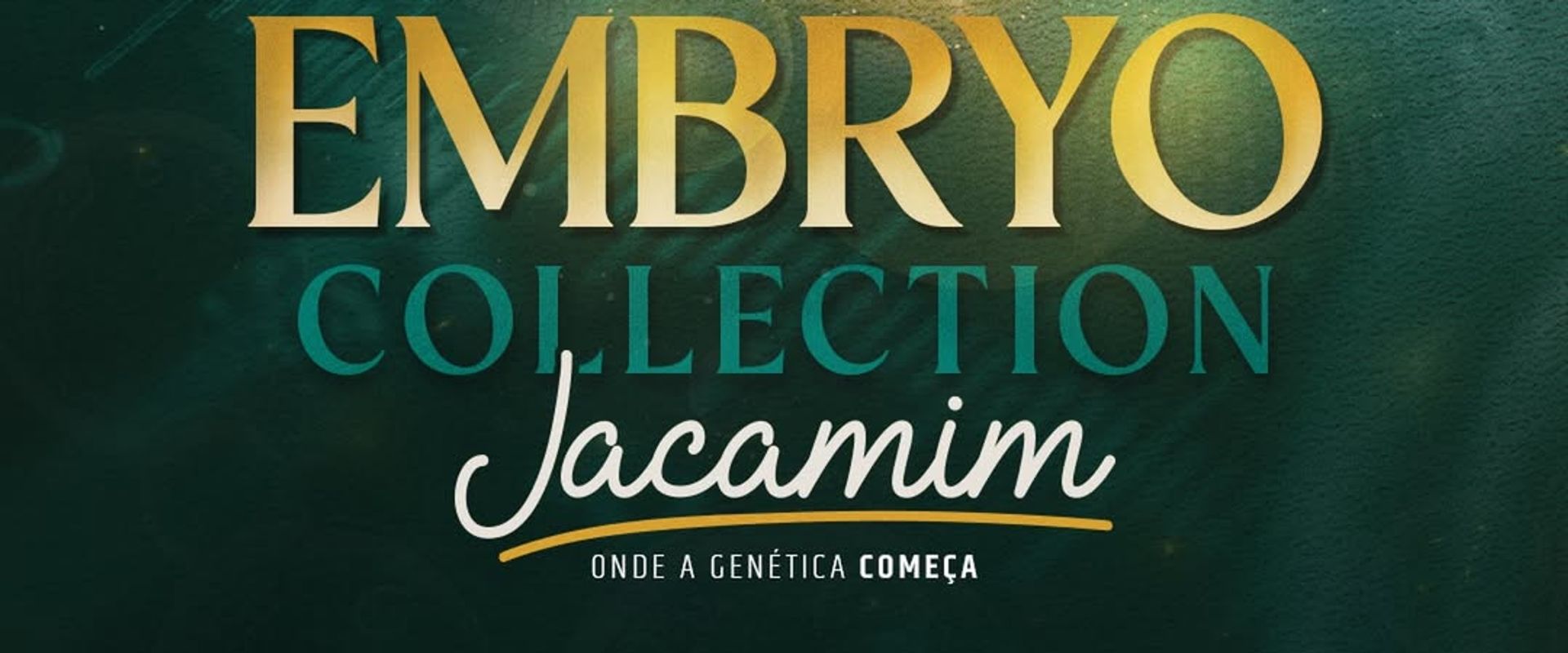 1º Leilão Embryo Collection Jacamim 