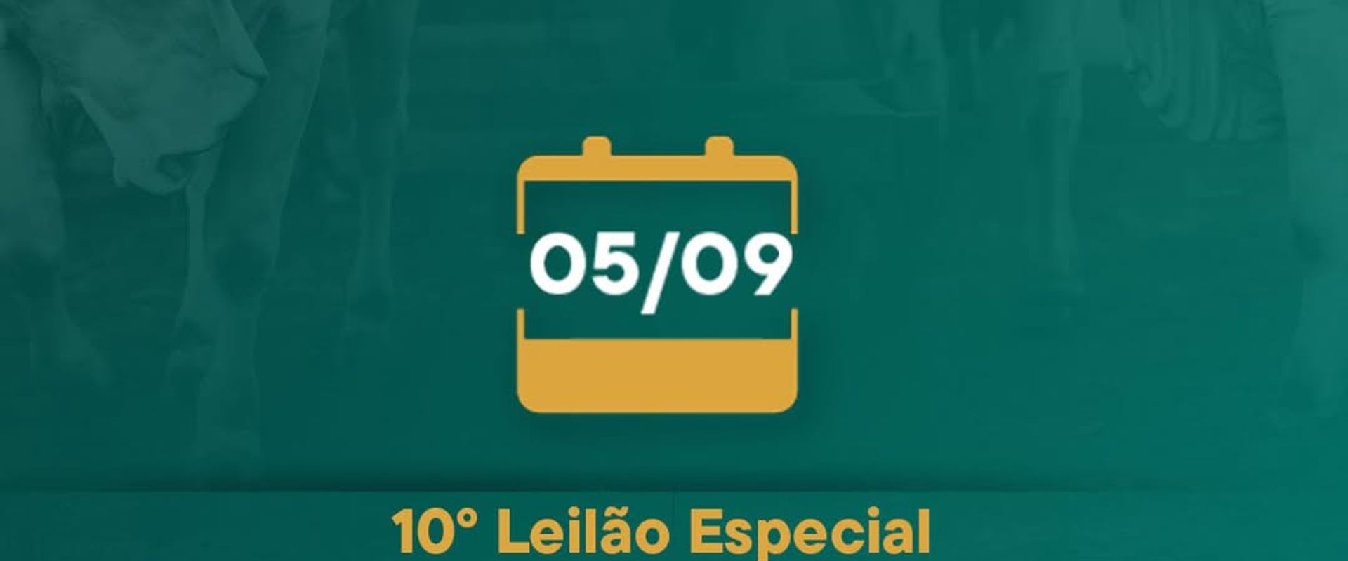 10º Leilão Especial Touros Fazenda Jacamim