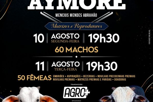 19º Leilão Virtual Nelore Aymoré - Machos