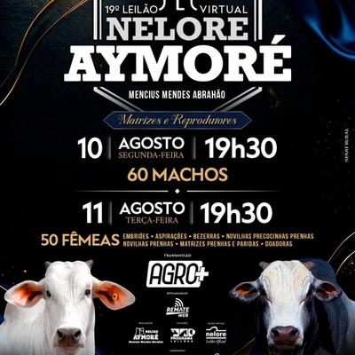 19º Leilão Virtual Nelore Aymoré - Machos - Foto 1