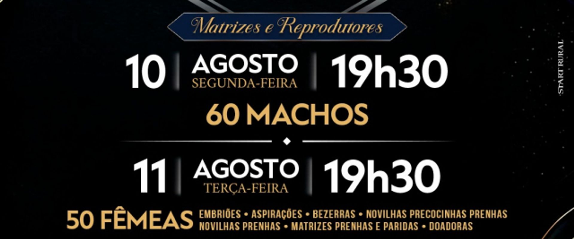 19º Leilão Virtual Nelore Aymoré - Machos