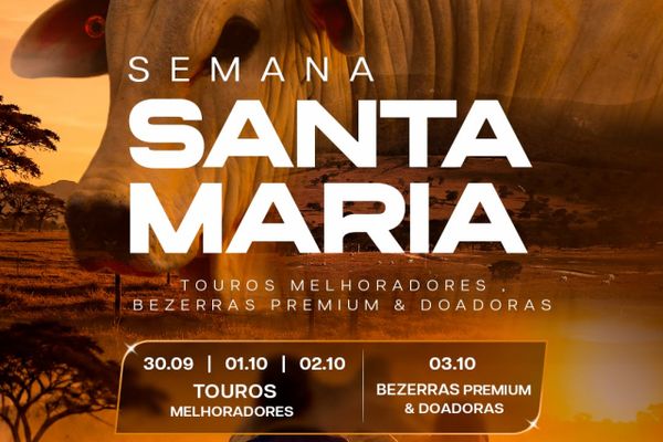 Semana Santa Maria - Leilão Touros Melhoradores - 1ª Etapa