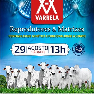 Leilão Virtual Genética XX Varrela - Reprodutores & Matrizes - Foto 1