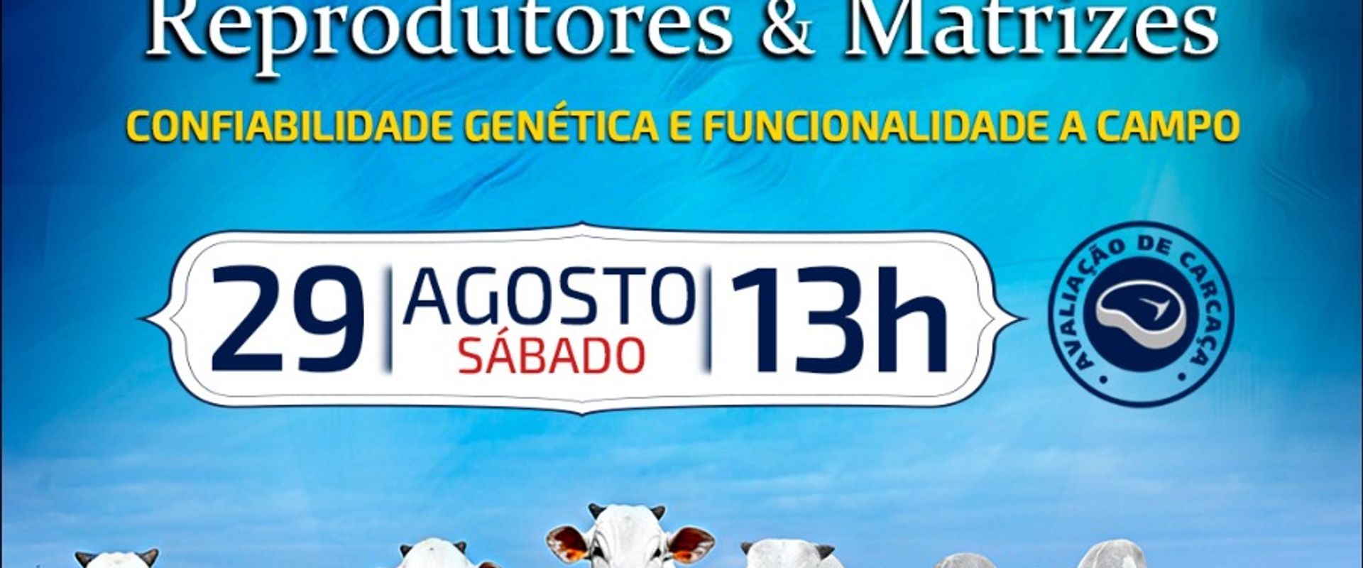 Leilão Virtual Genética XX Varrela - Reprodutores & Matrizes