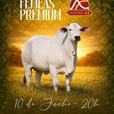 3º Leilão Fêmeas Premium - Fazenda AF - Foto 1