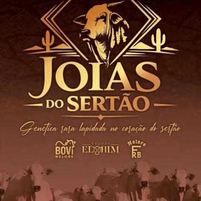 Leilão Virtual Joias do Sertão - Foto 1
