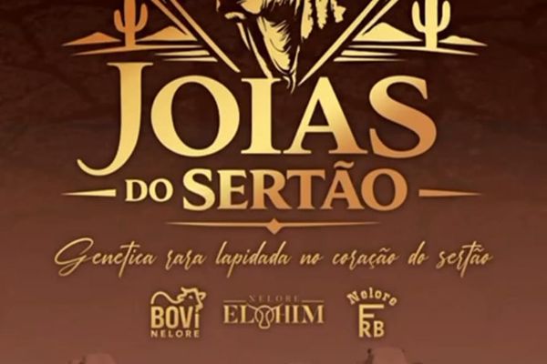 Leilão Virtual Joias do Sertão