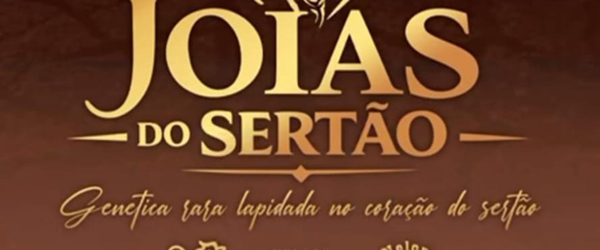 Leilão Virtual Joias do Sertão