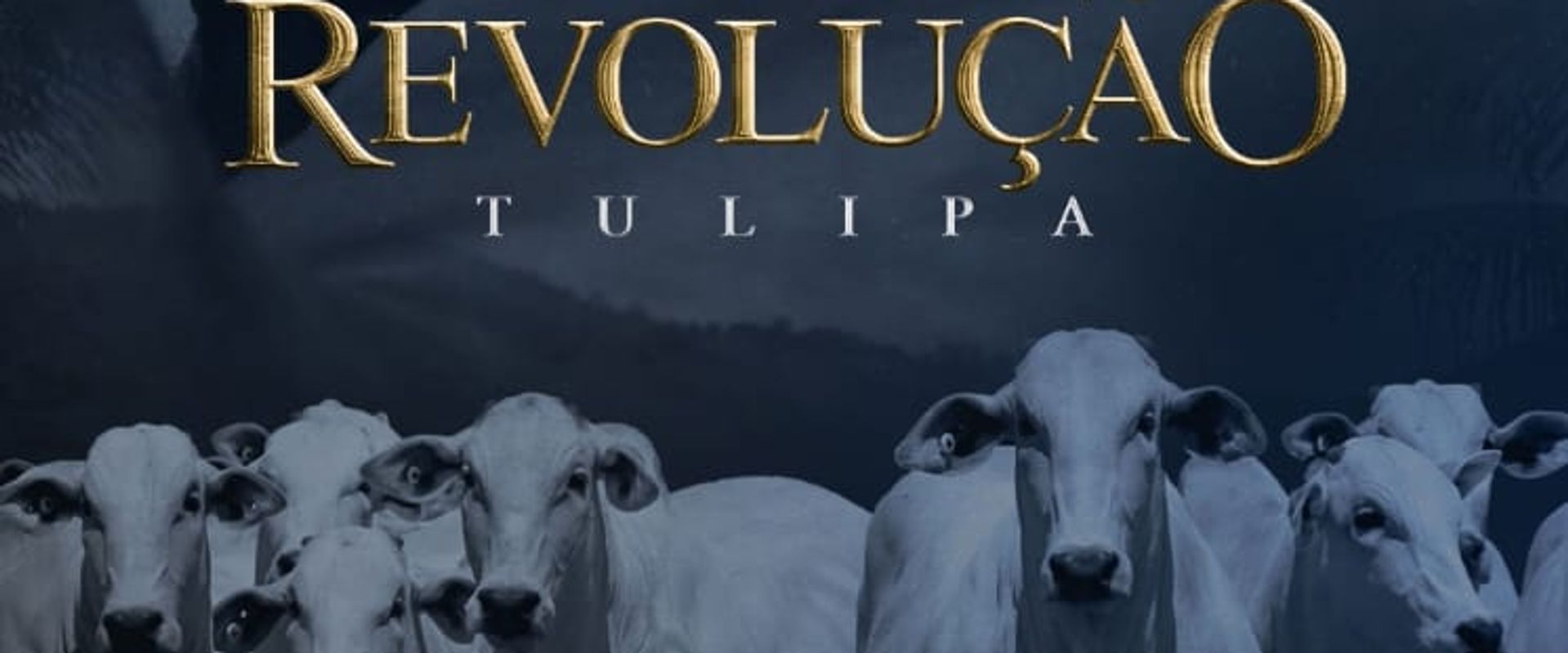 Embriões Cepex Tulipa