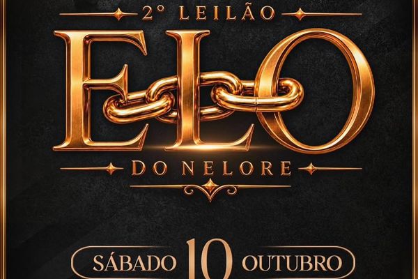 2º Leilão Elo do Nelore