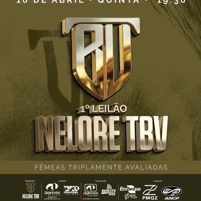 1º Leilão Vitual Nelore TBV - Foto 1