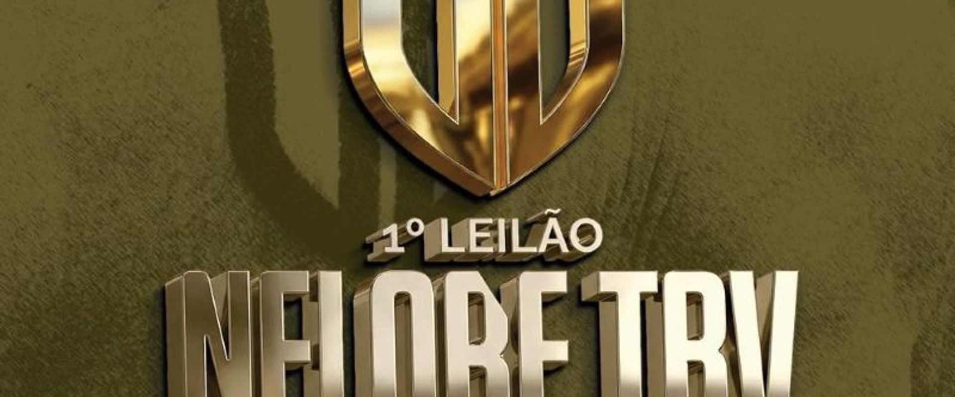 1º Leilão Vitual Nelore TBV