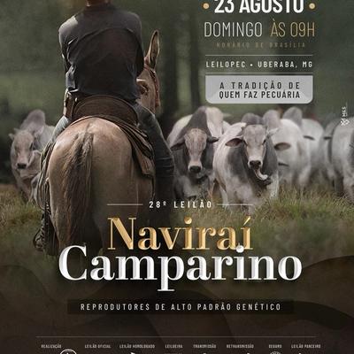 28º Leilão Naviraí Camparino - ExpoGenética 2026 - Foto 1