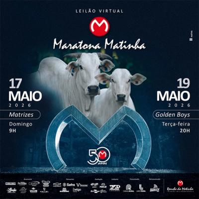 Leilão Maratona Matinha - Matrizes - Foto 1