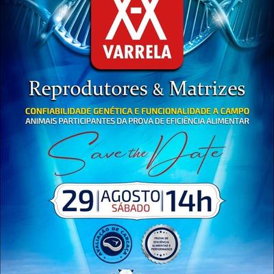 Leilão Virtual Genética XX Varrela - Reprodutores & Matrizes - Foto 1