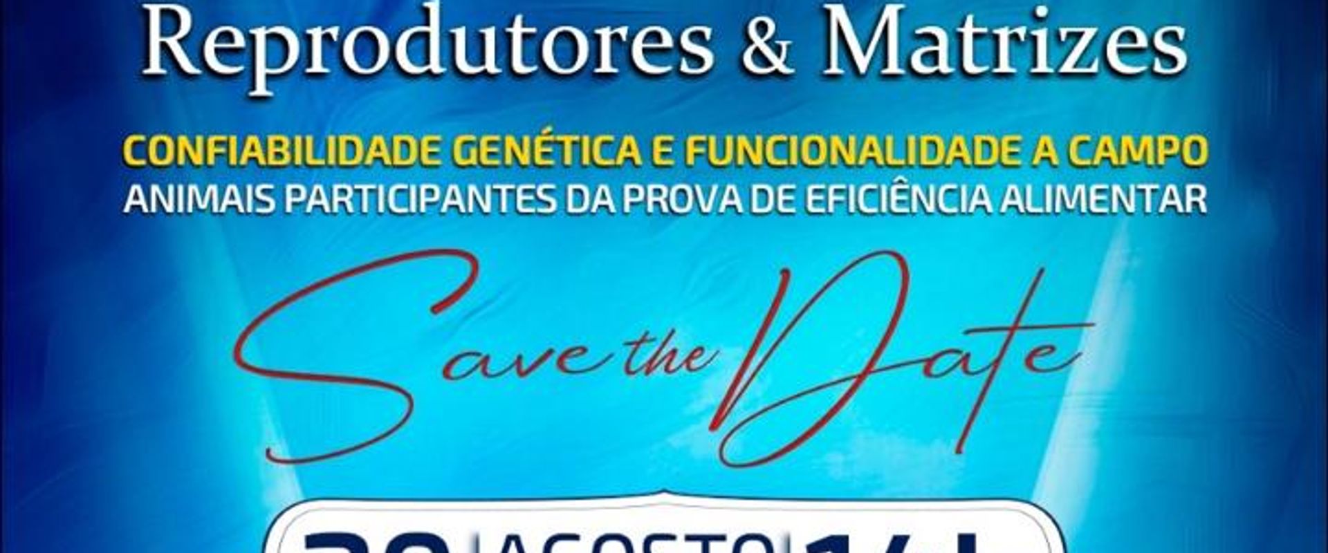 Leilão Virtual Genética XX Varrela - Reprodutores & Matrizes