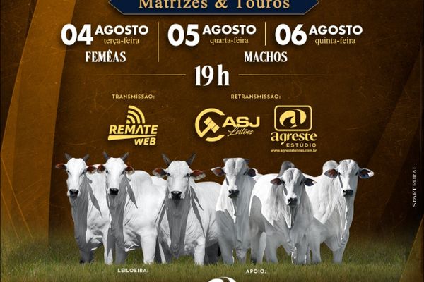 7º Leilão Nelore EDAP - Touros