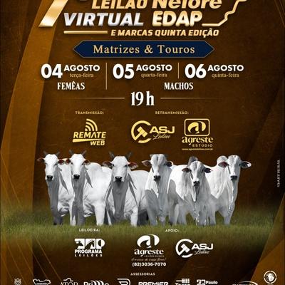 7º Leilão Nelore EDAP - Touros - Foto 1