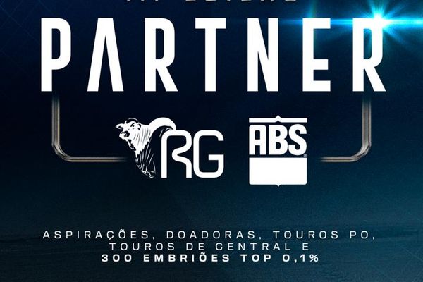 Notícia Nelore 2026