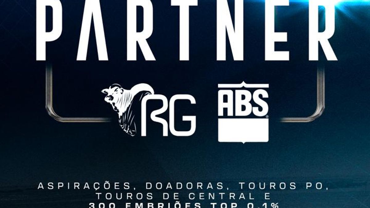 Notícia Nelore 2026