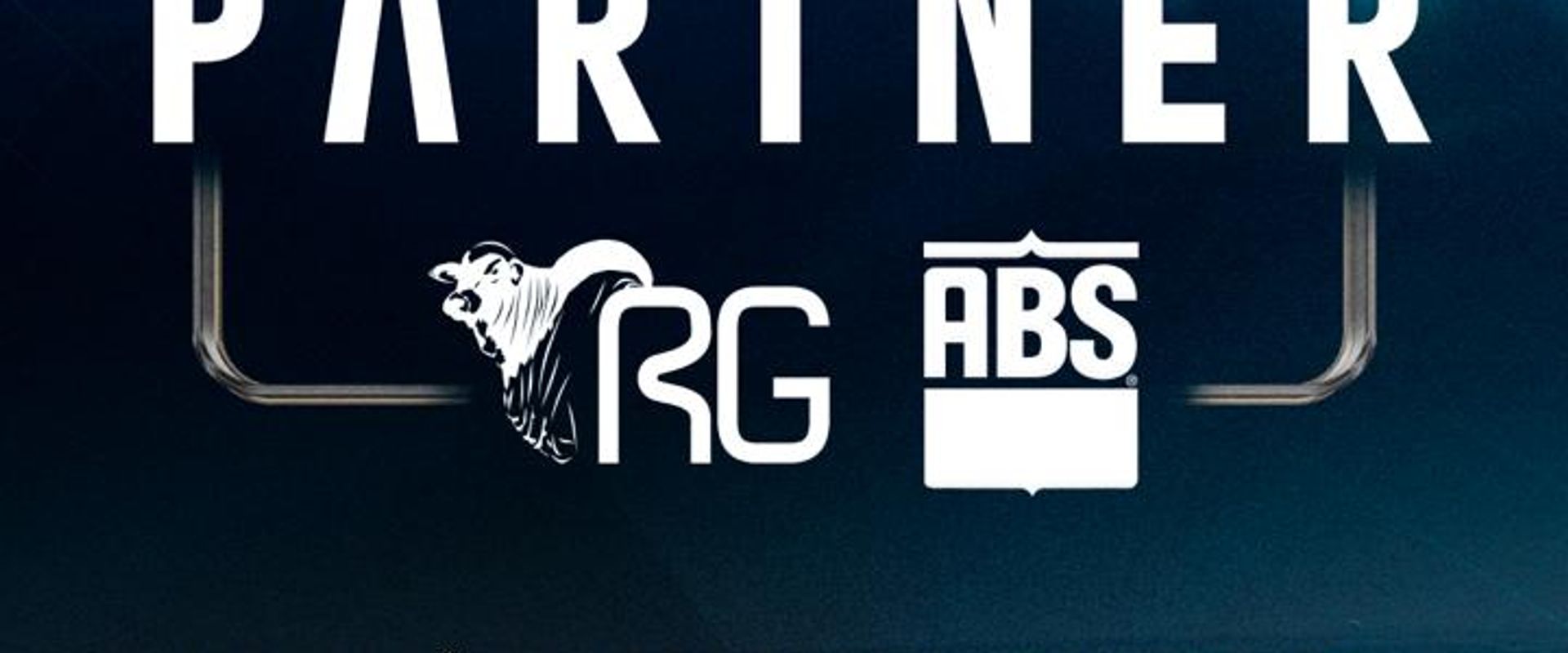 Notícia Nelore 2026