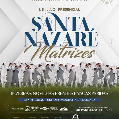 Leilão Presencial Santa Nazaré Matrizes - Foto 1