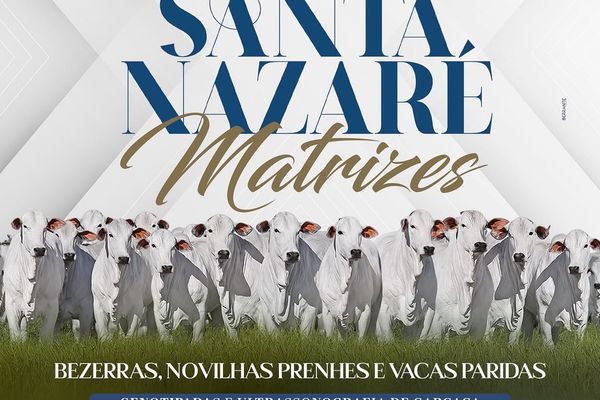 Leilão Presencial Santa Nazaré Matrizes