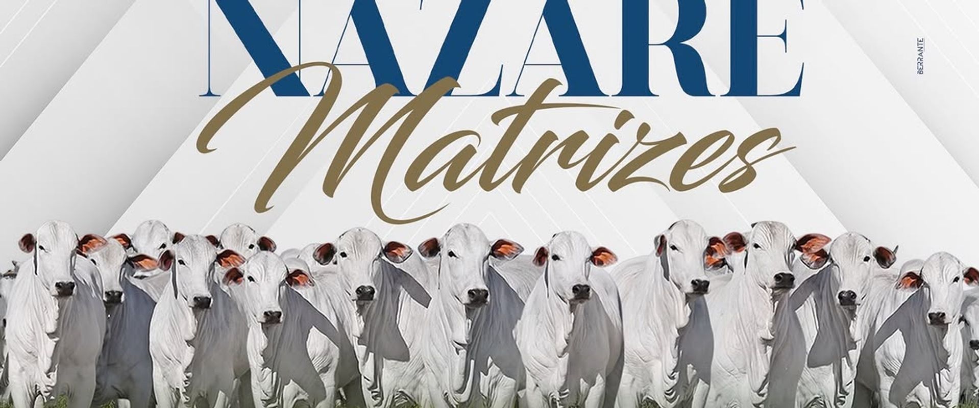 Leilão Presencial Santa Nazaré Matrizes
