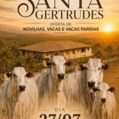 Leilão Nelore Fazenda Santa Gertrudes - Foto 1