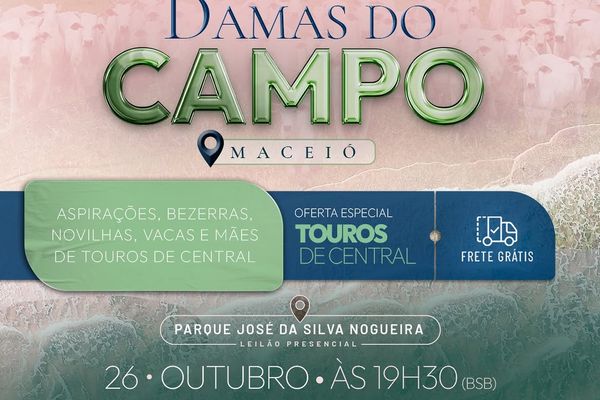 3º Leilão Damas do Campo