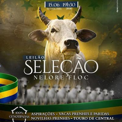 Leilão Seleção Nelore Floc - Foto 1
