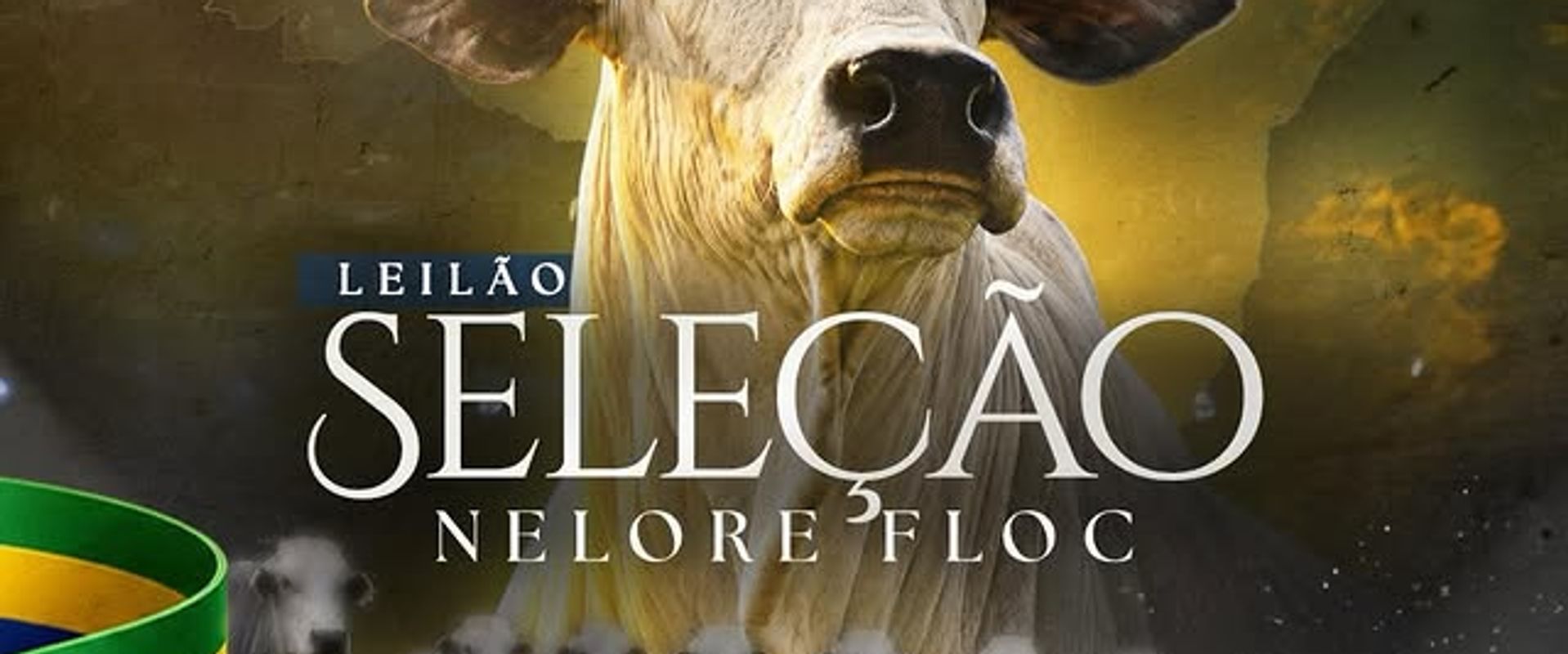 Leilão Seleção Nelore Floc
