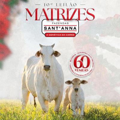 10º Leilão Virtual Matrizes Fazenda Sant'Anna - Foto 1