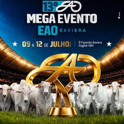 13º Mega EAO Baviera - Etapa Fêmeas - Foto 1