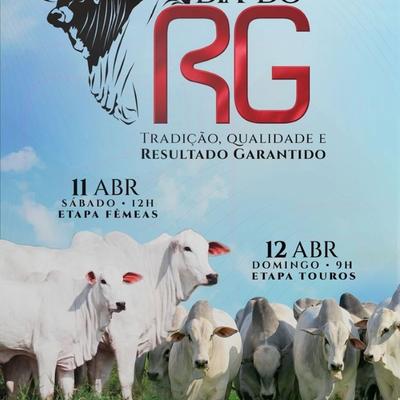 Leilão Virtual Dia do RG - Etapa Fêmeas - Foto 1