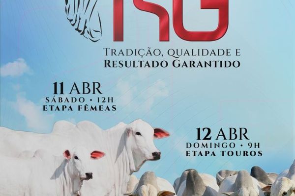 Leilão Virtual Dia do RG - Etapa Fêmeas