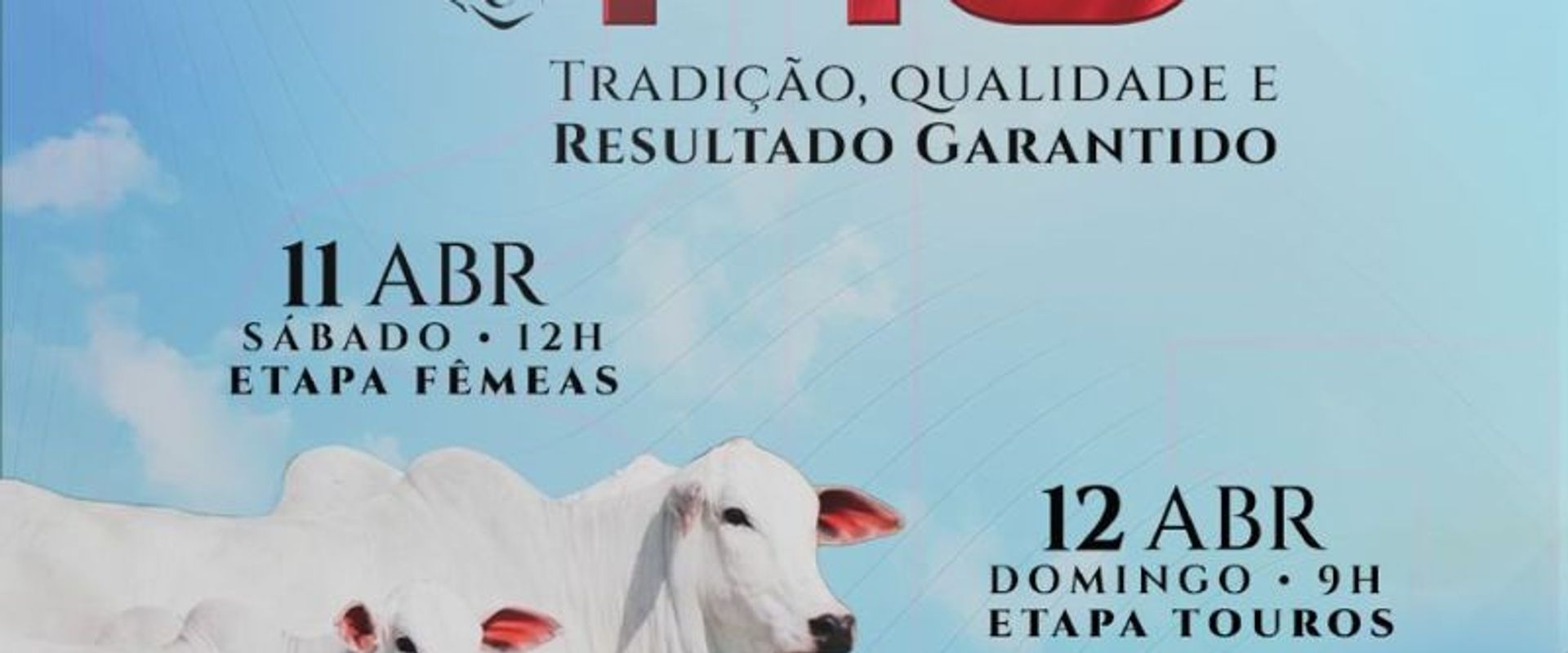 Leilão Virtual Dia do RG - Etapa Fêmeas