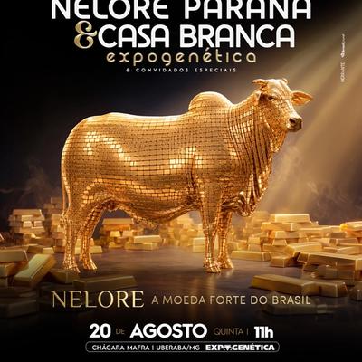 Leilão Nelore Paranã  & Casa Branca –  ExpoGenética 2026 - Foto 1