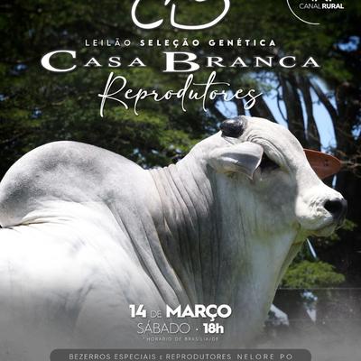Leilão Virtual Seleção Genética Casa Branca - Reprodutores - Foto 1