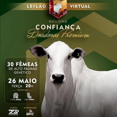 Leilão Virtual Nelore Confiança - Foto 1
