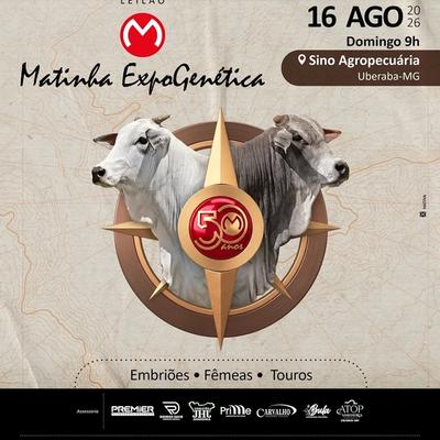 Leilão Matinha - ExpoGenética - Foto 1