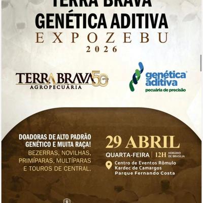 8º Leilão Terra Brava e Genética Aditiva - Expozebu 2026 - Foto 1