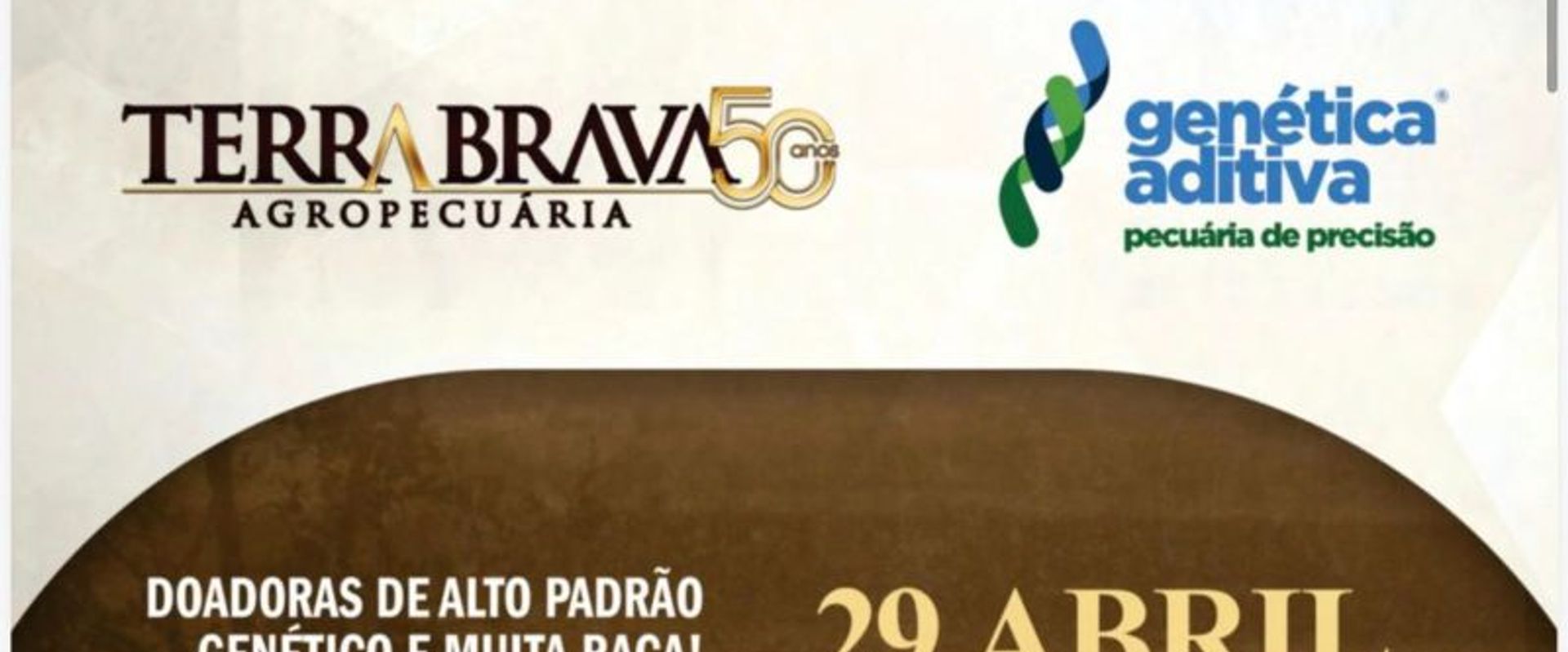 8º Leilão Terra Brava e Genética Aditiva - Expozebu 2026