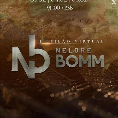 Leilão Nelore BOMM - Foto 1