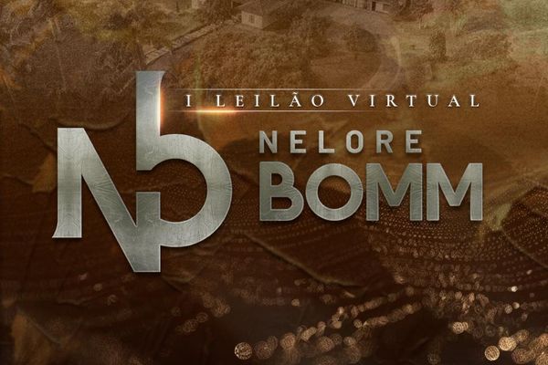 Leilão Nelore BOMM