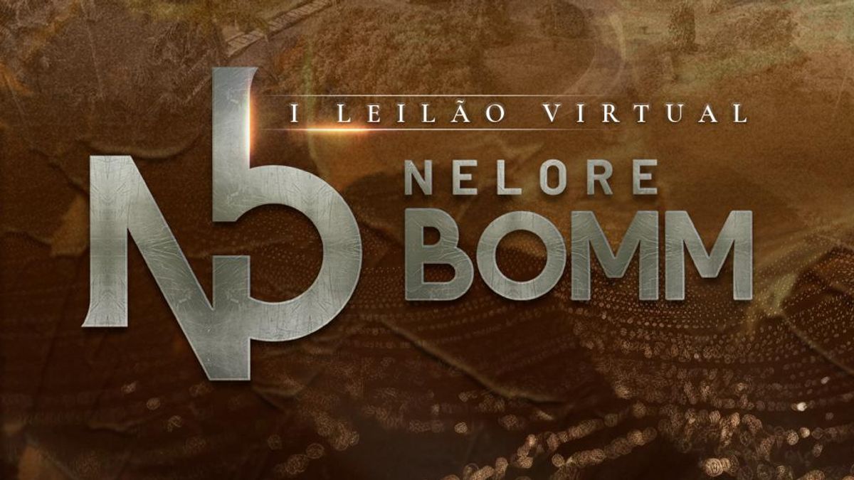 Notícia Nelore 2026 - 2