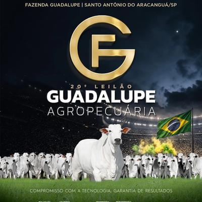20º Leilão Guadalupe Agropecuária - Etapa Fêmeas - Foto 1